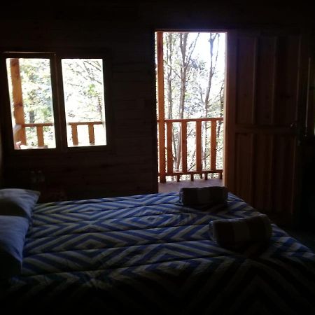 Cabana En El Bosque De San Jose Del Pacifico 2 외부 사진