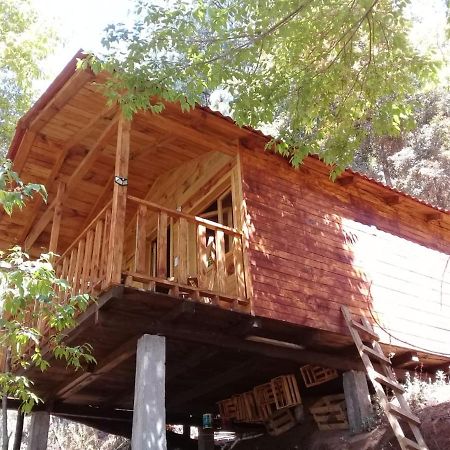 Cabana En El Bosque De San Jose Del Pacifico 2 외부 사진