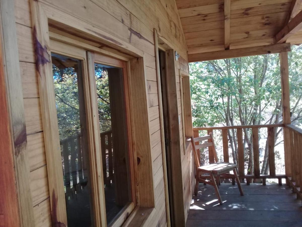 Cabana En El Bosque De San Jose Del Pacifico 2 외부 사진