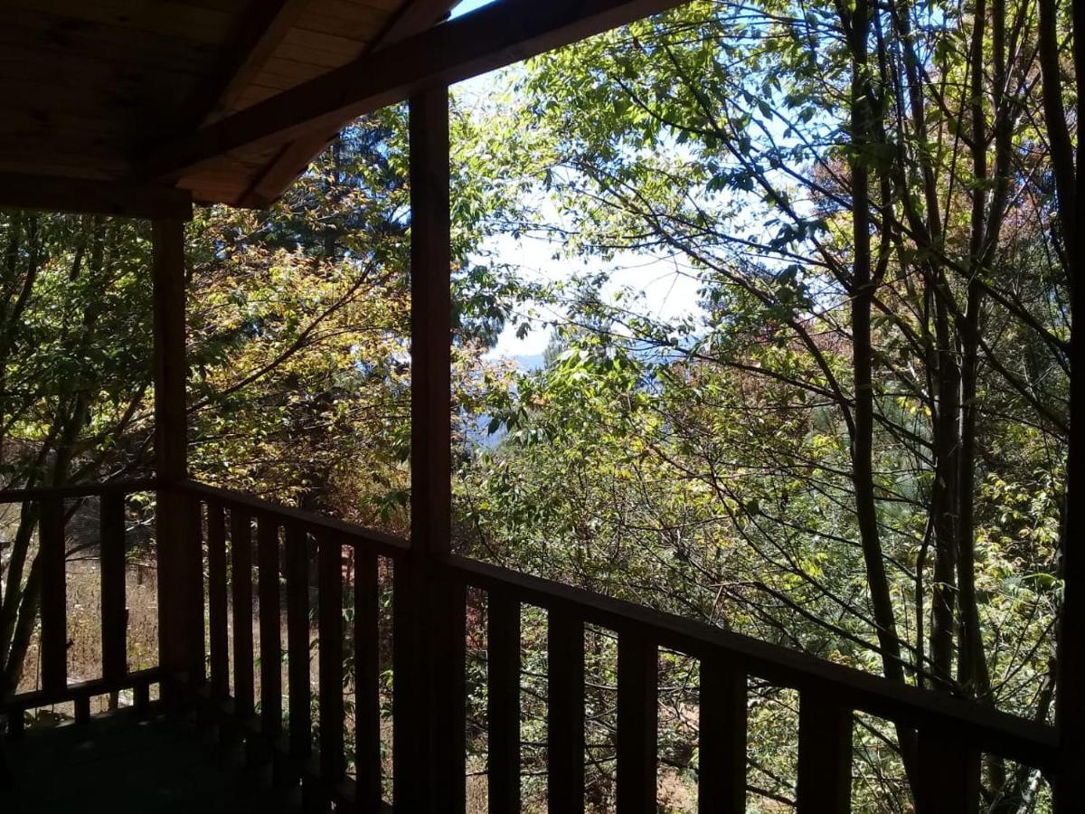Cabana En El Bosque De San Jose Del Pacifico 2 외부 사진
