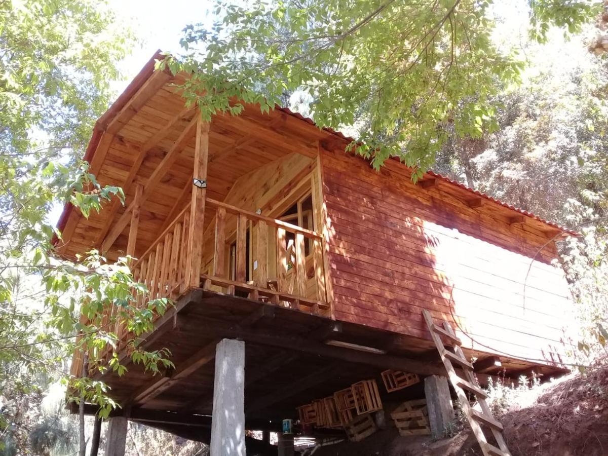Cabana En El Bosque De San Jose Del Pacifico 2 외부 사진