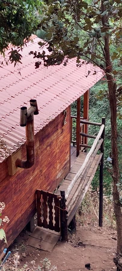 Cabana En El Bosque De San Jose Del Pacifico 2 외부 사진