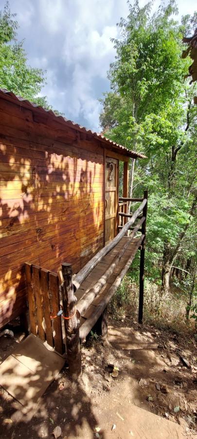 Cabana En El Bosque De San Jose Del Pacifico 2 외부 사진