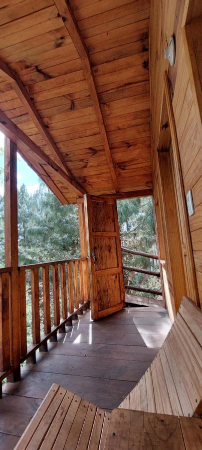 Cabana En El Bosque De San Jose Del Pacifico 2 외부 사진