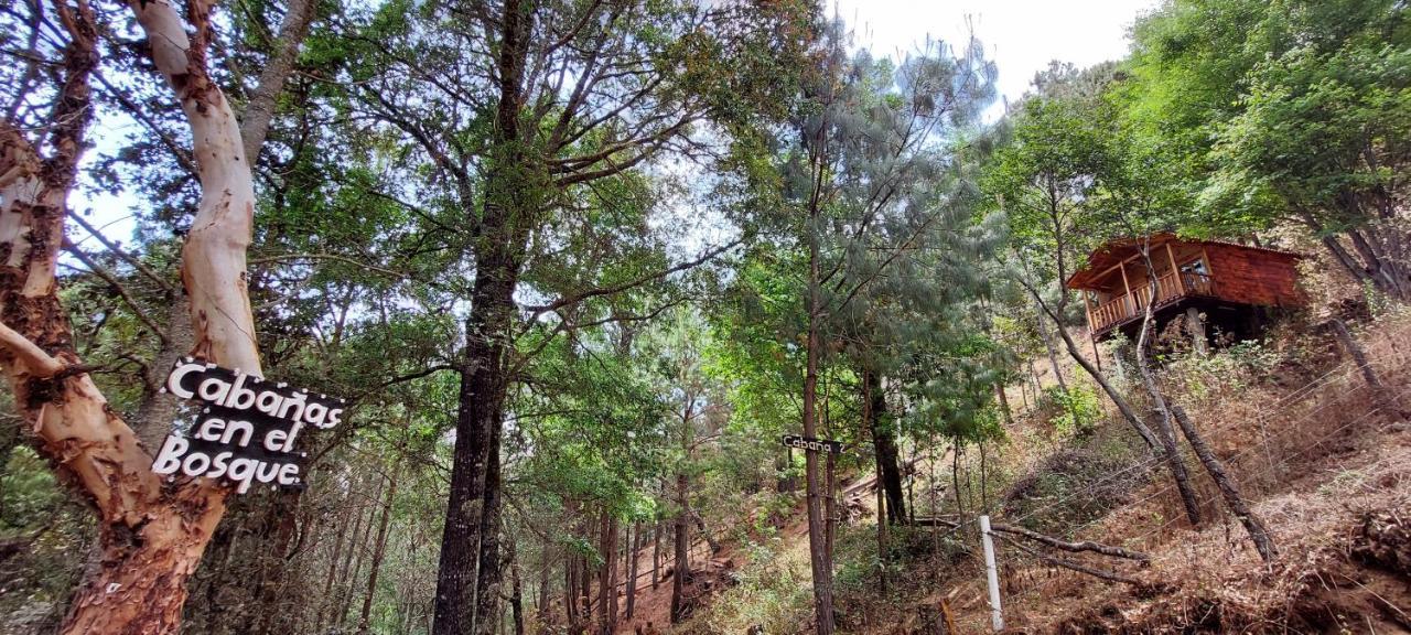 Cabana En El Bosque De San Jose Del Pacifico 2 외부 사진